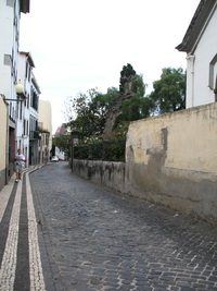 rua_da_carreira_b